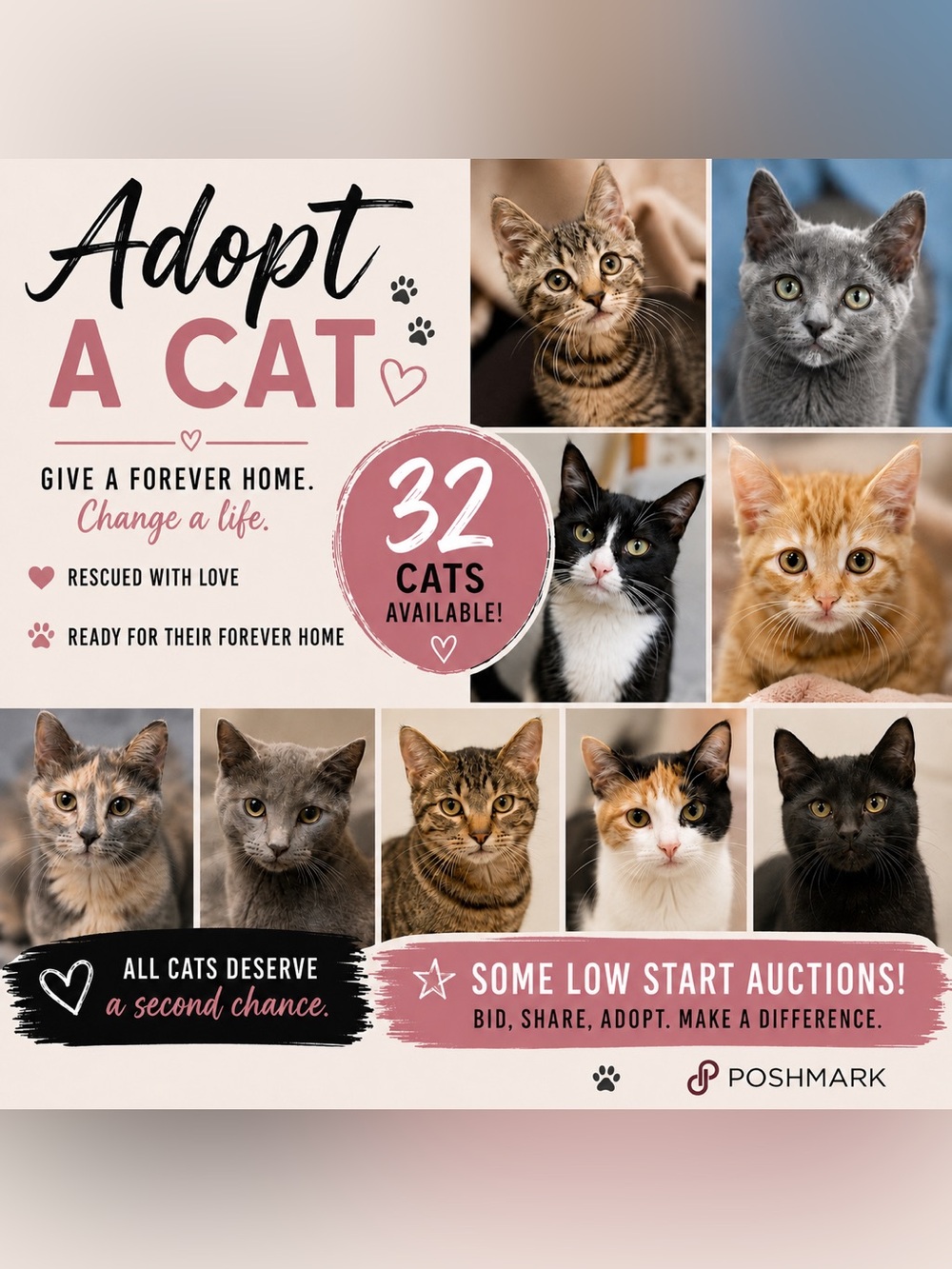 🐾Adopt A Cat On Poshmark W/ @desiraelong57🐈